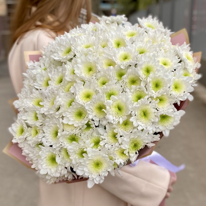 25 белых хризантем Коммандер