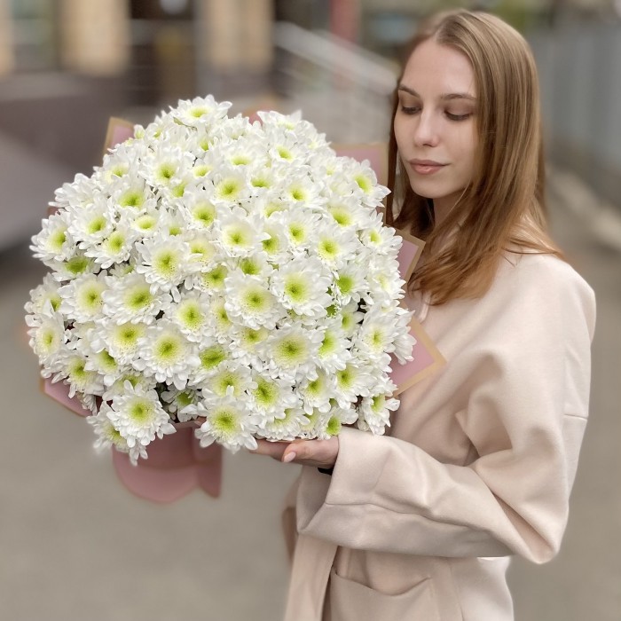 25 белых хризантем Коммандер