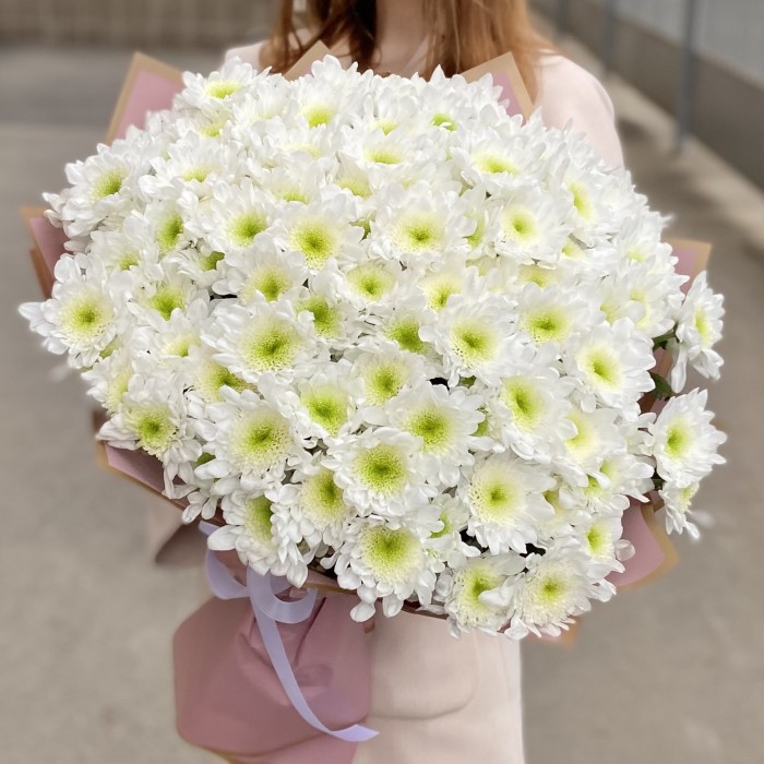 25 белых хризантем Коммандер
