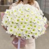 25 белых хризантем Коммандер