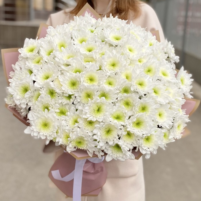 25 белых хризантем Коммандер