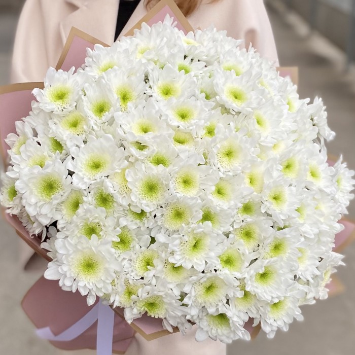 25 белых хризантем Коммандер