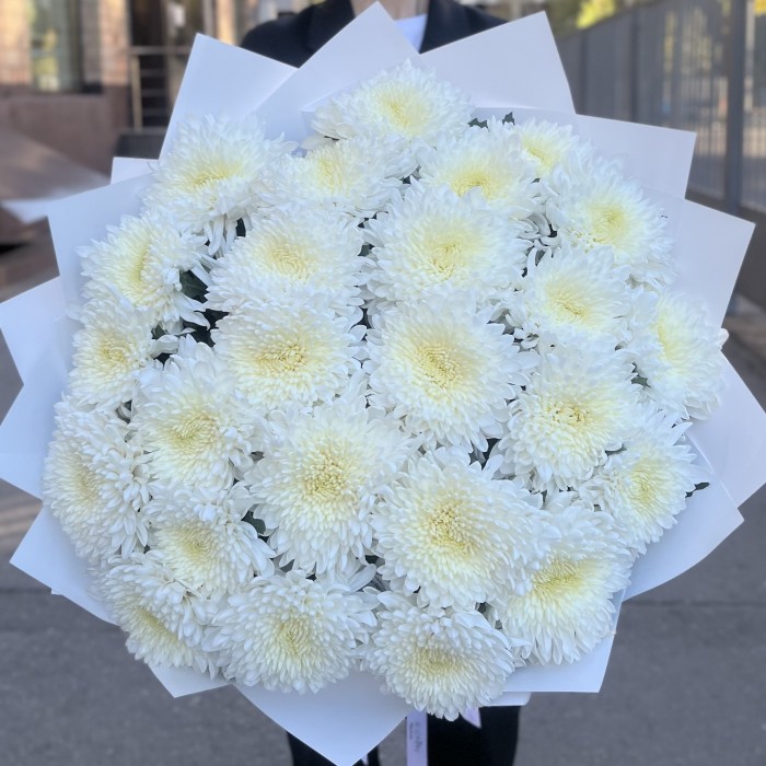 25 белых хризантем Магнум