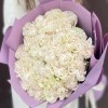25  длинных белых роз Коттон Экспрешн