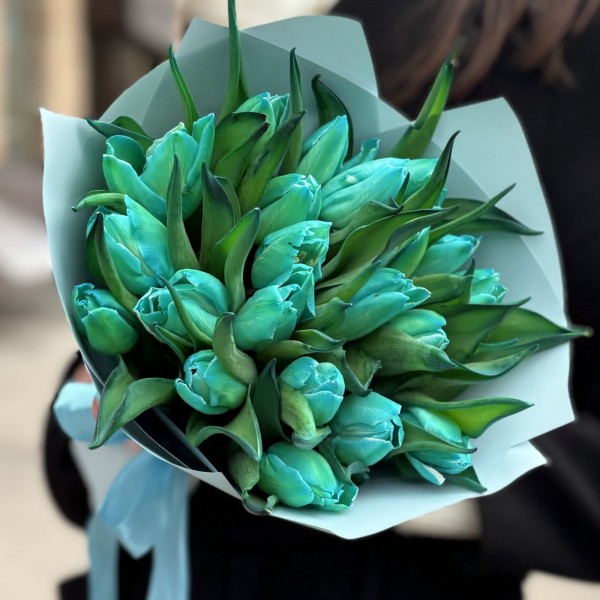 25 бирюзовых тюльпанов