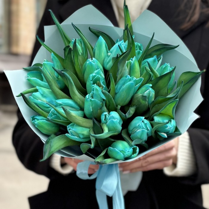 25 бирюзовых тюльпанов