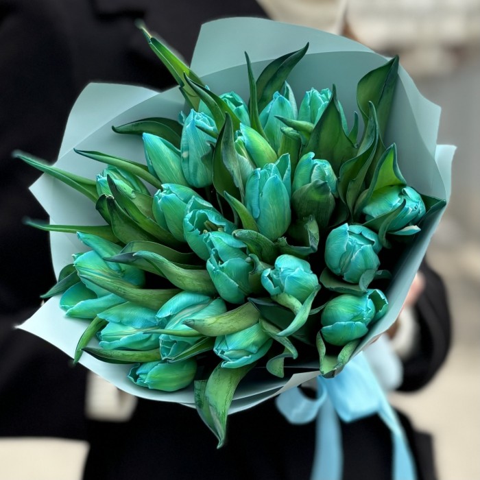 25 бирюзовых тюльпанов