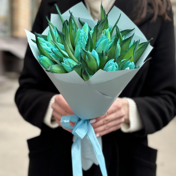 25 бирюзовых тюльпанов