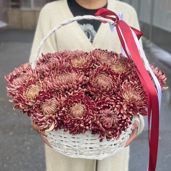 25 бордовых хризантем в корзине