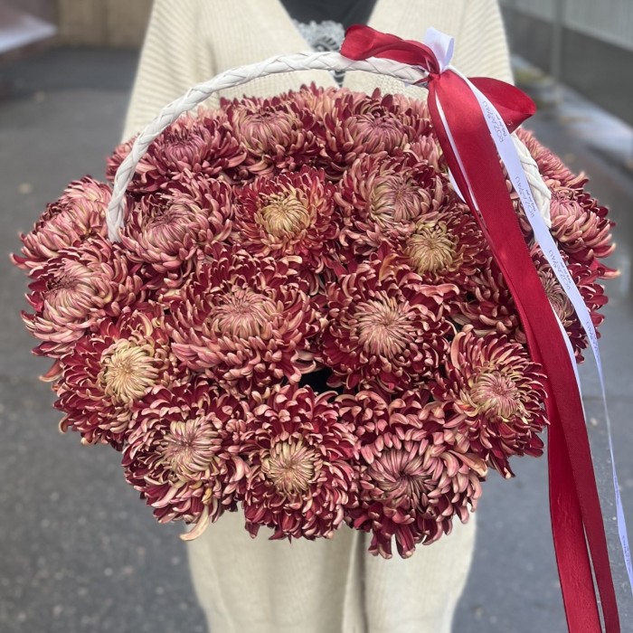 25 бордовых хризантем в корзине