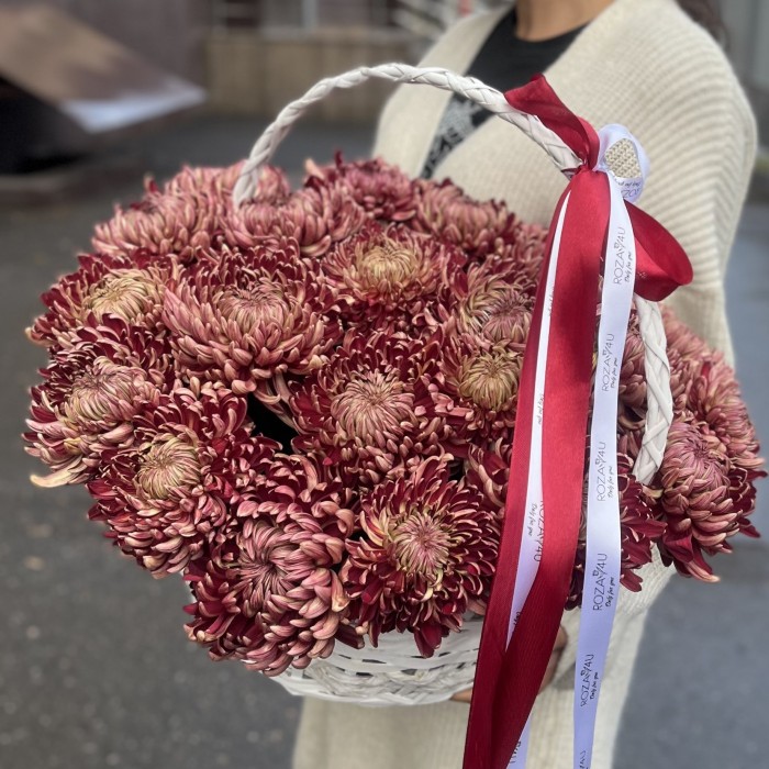 25 бордовых хризантем в корзине