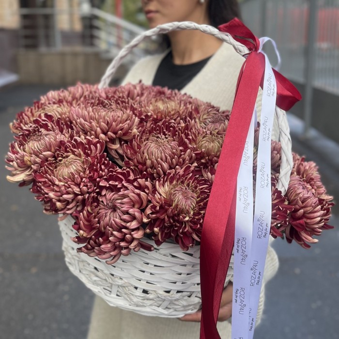 25 бордовых хризантем в корзине