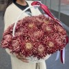 25 бордовых хризантем в корзине
