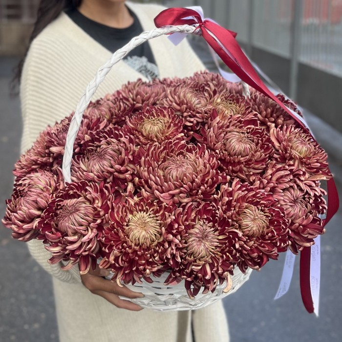 25 бордовых хризантем в корзине
