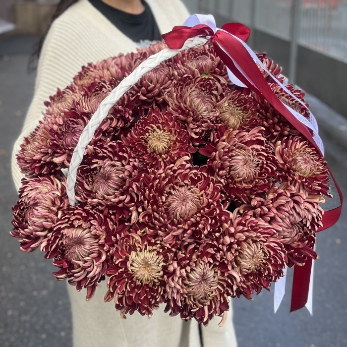 25 бордовых хризантем в корзине