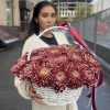 25 бордовых хризантем в корзине