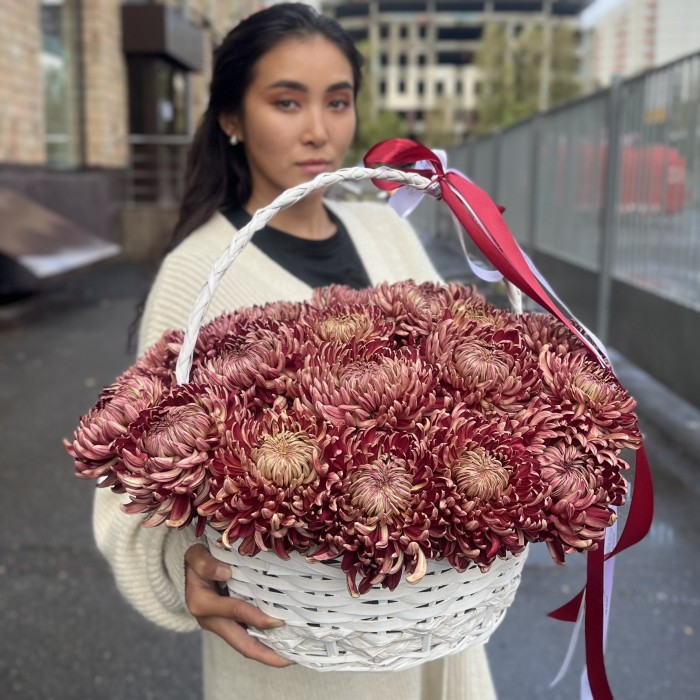 25 бордовых хризантем в корзине