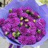 25 фиолетовых георгин