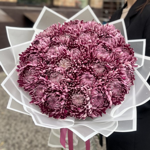 25 фиолетовых хризантем