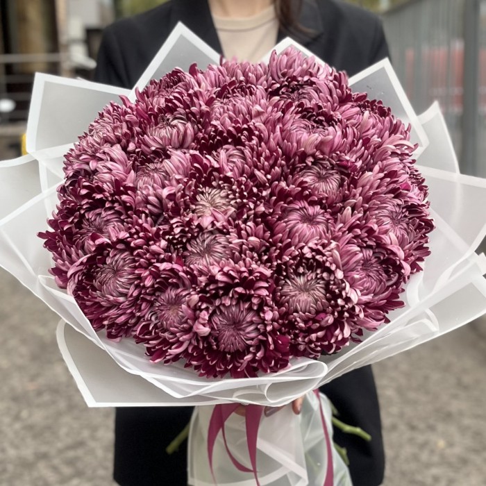 25 фиолетовых хризантем
