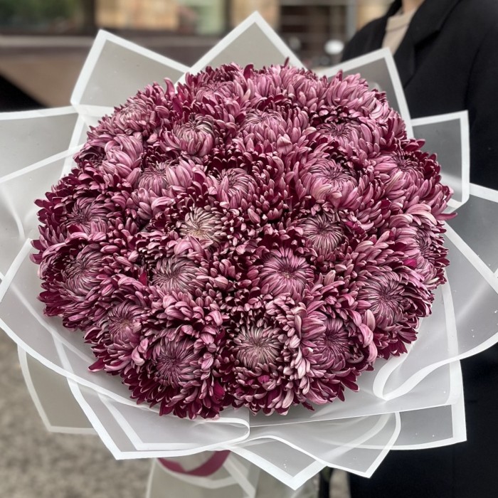 25 фиолетовых хризантем