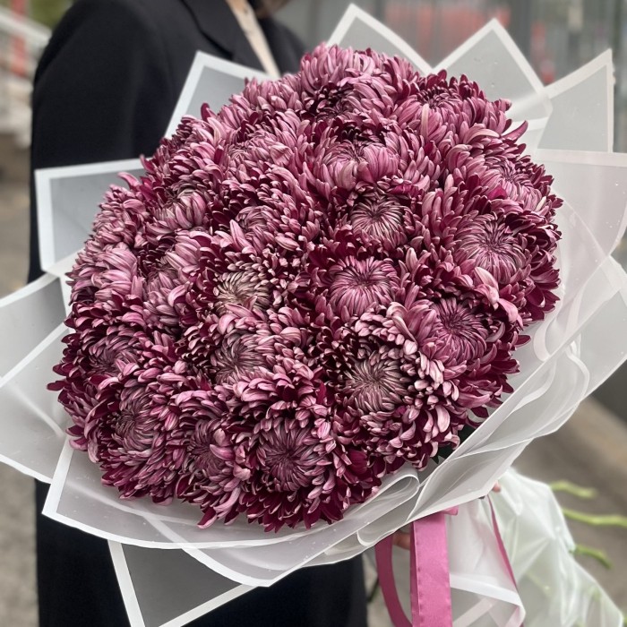 25 фиолетовых хризантем