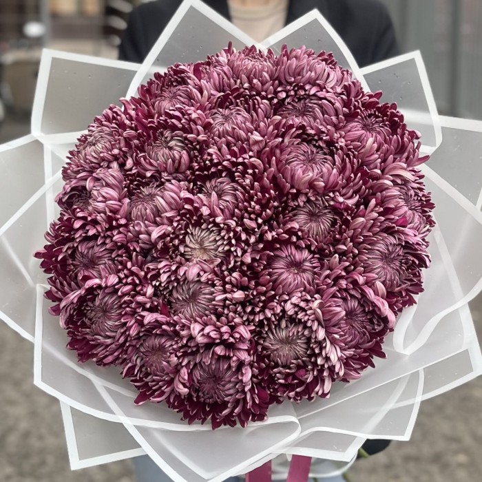 25 фиолетовых хризантем