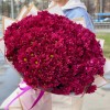 25 фиолетовых кустовых хризантем Бакарди