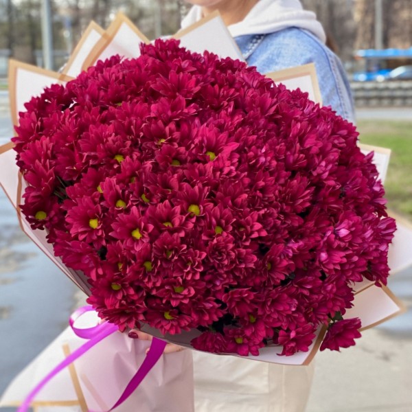 25 фиолетовых кустовых хризантем Бакарди