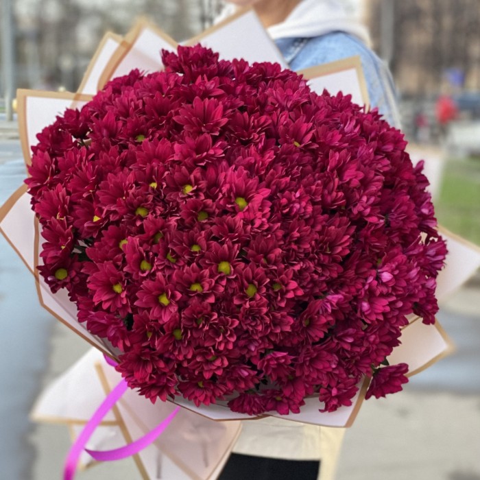 25 фиолетовых кустовых хризантем Бакарди