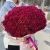 25 фиолетовых кустовых хризантем Бакарди