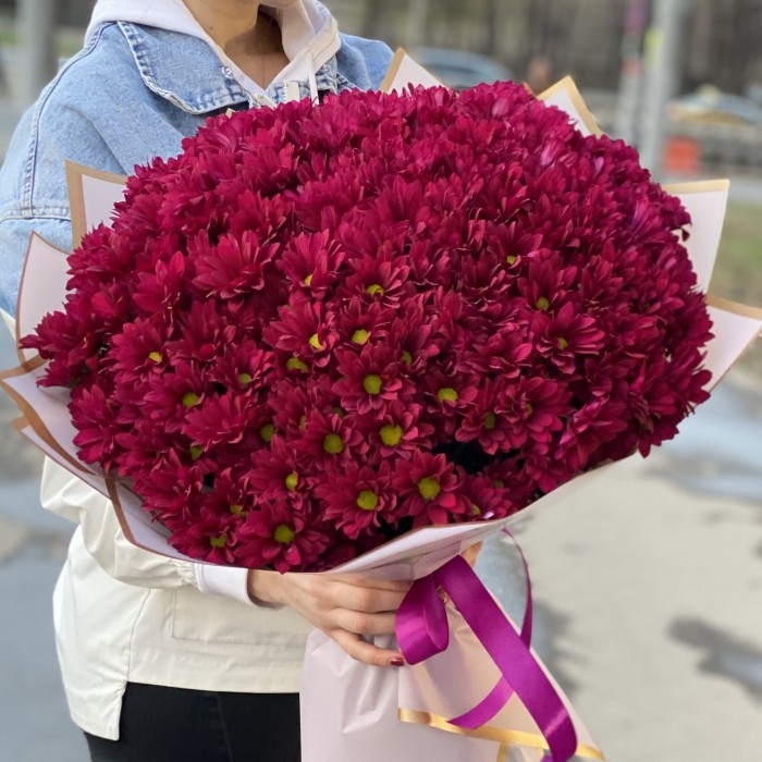 25 фиолетовых кустовых хризантем Бакарди