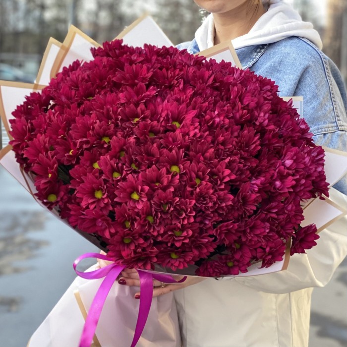 25 фиолетовых кустовых хризантем Бакарди