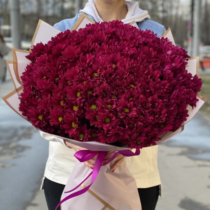 25 фиолетовых кустовых хризантем Бакарди