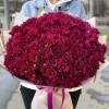 25 фиолетовых кустовых хризантем Бакарди