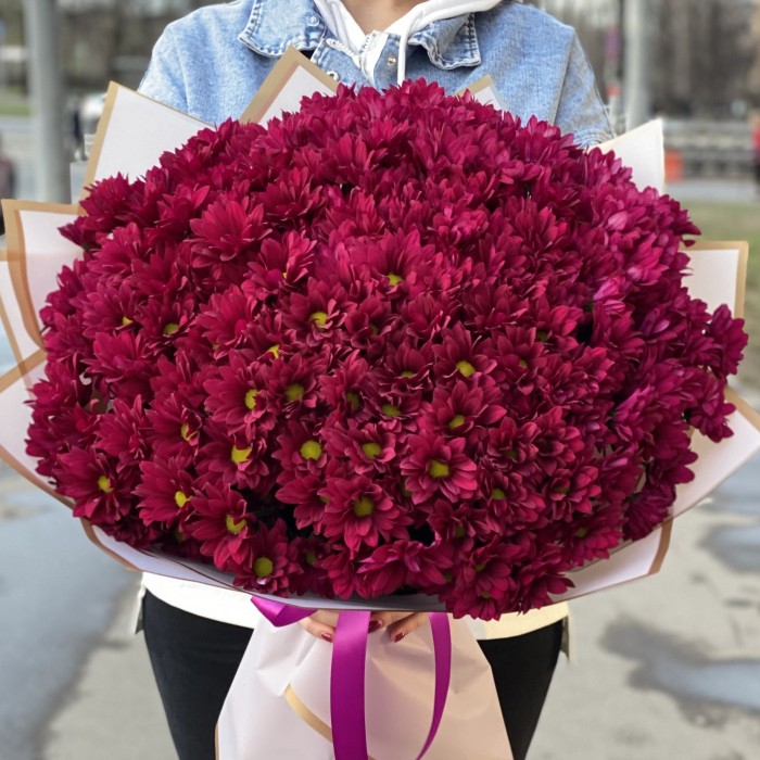 25 фиолетовых кустовых хризантем Бакарди