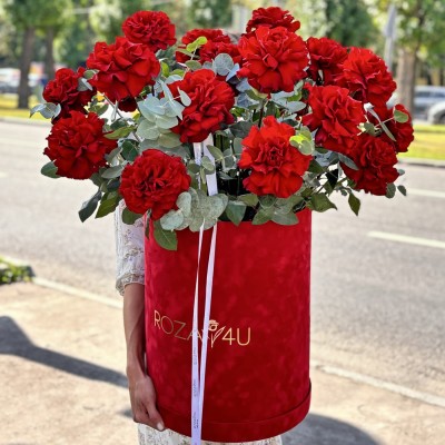 25 французских красных роз в бархатной коробке