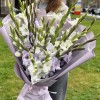 25 белых и сиреневых гладиолусов Нежный микс