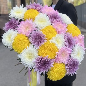 25 хризантем микс