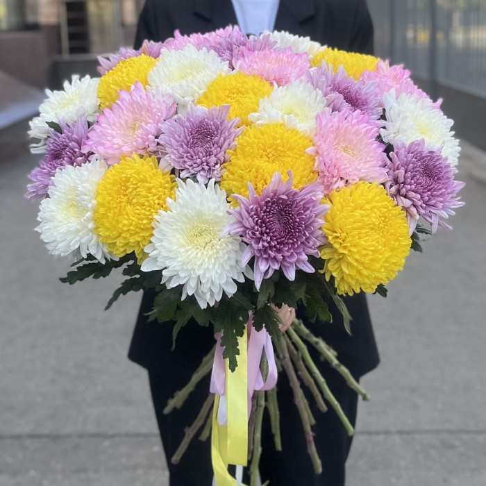 25 хризантем микс