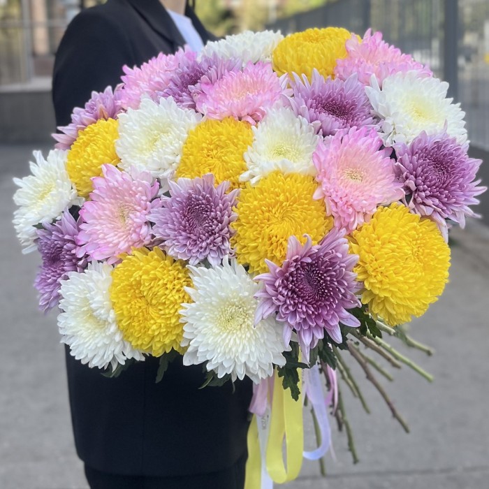 25 хризантем микс