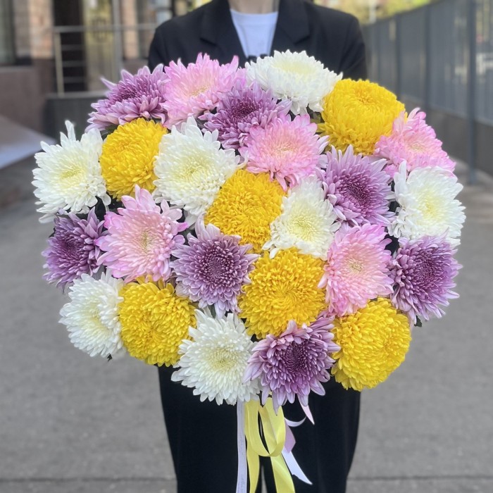 25 хризантем микс