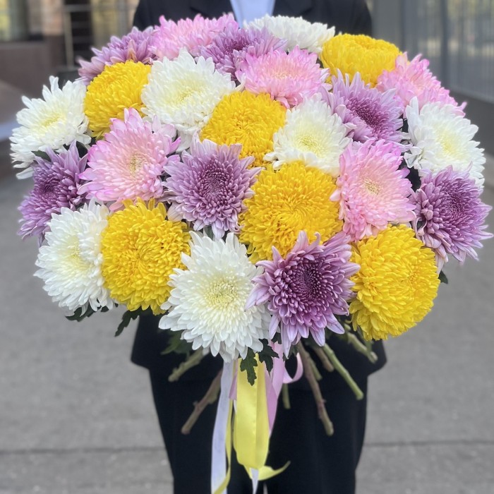 25 хризантем микс