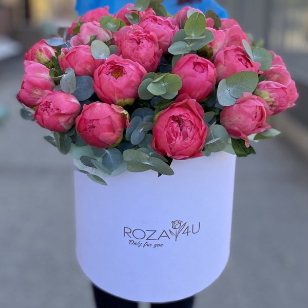 25 коралловых пионов с эвкалиптом в коробке