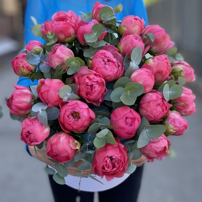 25 коралловых пионов с эвкалиптом в коробке