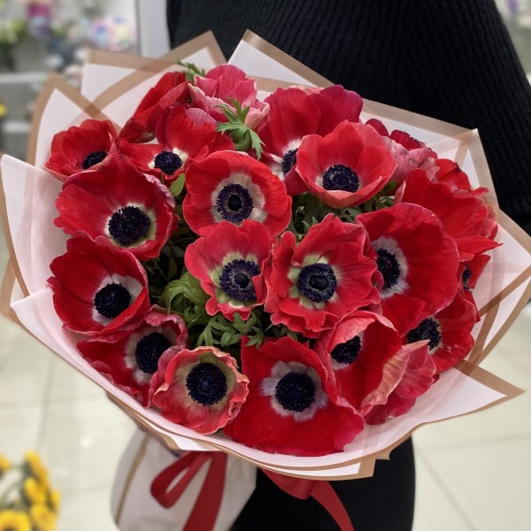 25 красных анемонов