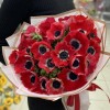 25 красных анемонов