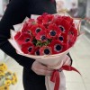 25 красных анемонов