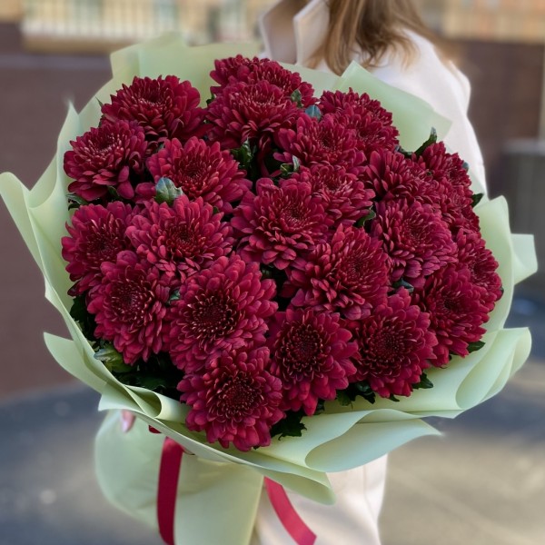 25 красных хризантем Ламира