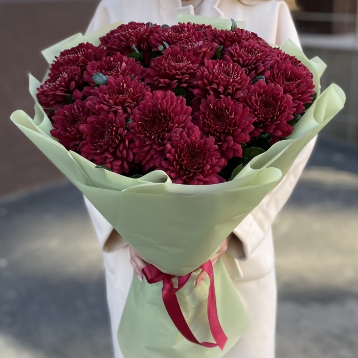 25 красных хризантем Ламира